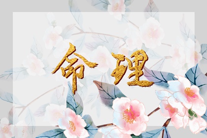 农历2025年老黄历|农历2025年日历表|农历日历2025年